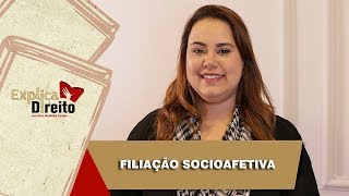 Explica Direito Filiação Socioafetiva  2019 [upl. by Nichani839]